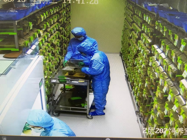 屏障内实验人员观察动物.jpg